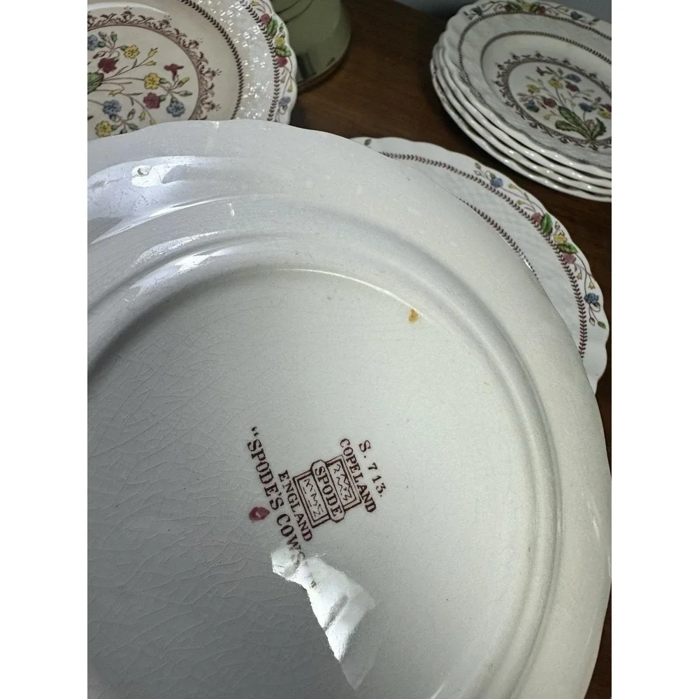 Spode Copeland Cowslip S713 England 7